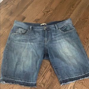 CAbi #349 Bermuda Denim Shorts